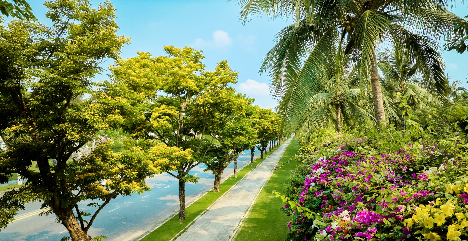 Con đường cây xanh đầy mê hoặc tại Danang Marriott Resort & Spa